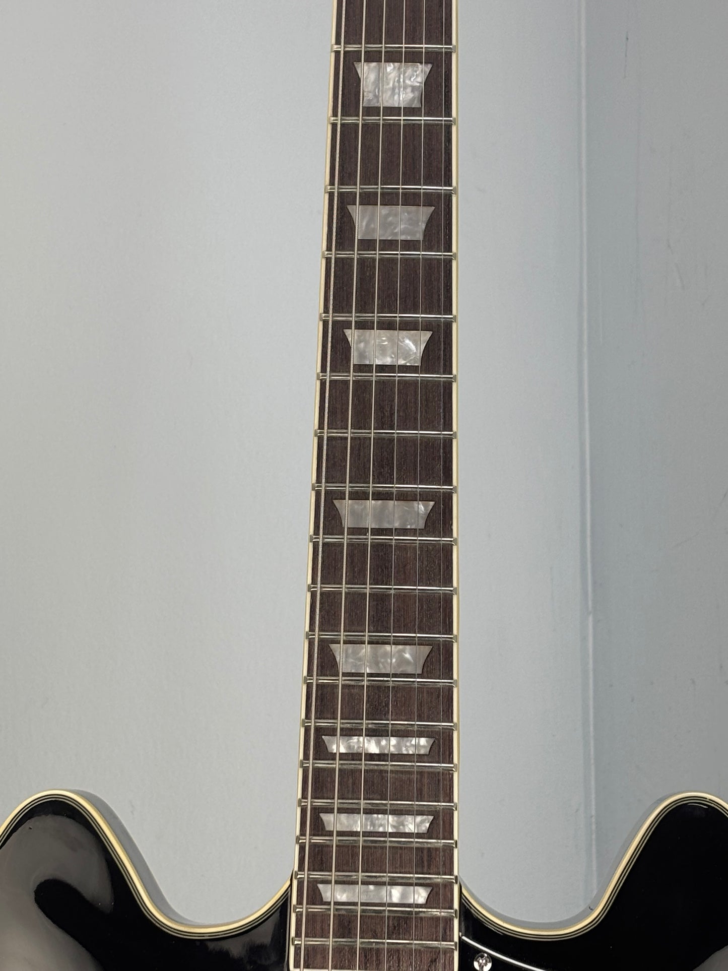 Firefly JSN FF338 Semi-Hollow Electric Guitar
