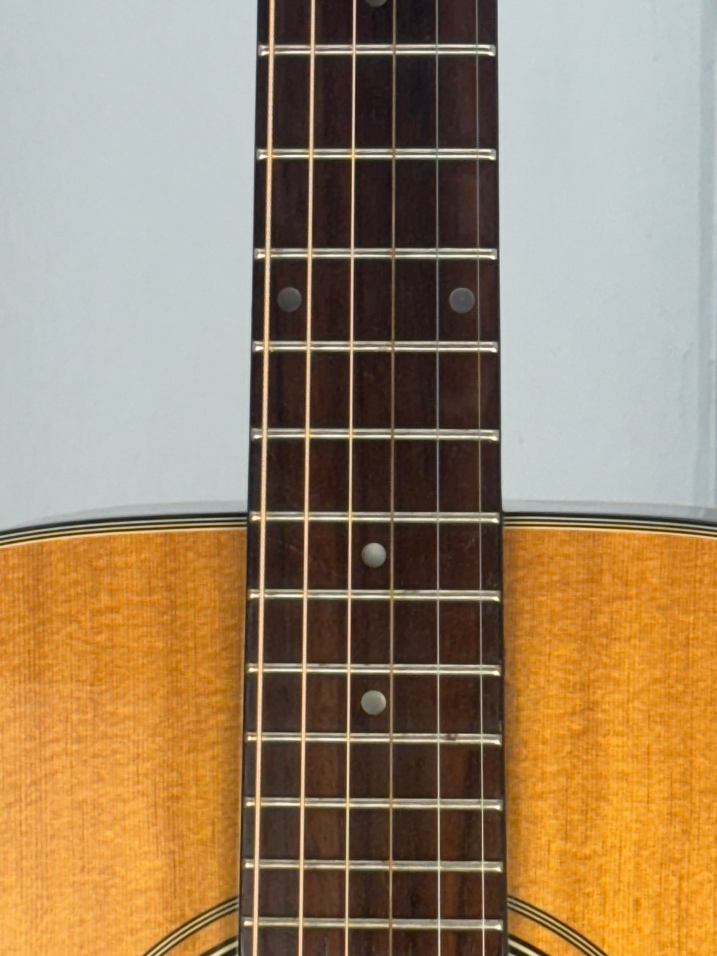 Alvarez RD8 Acoustic Guitar with Padded Gig Bag