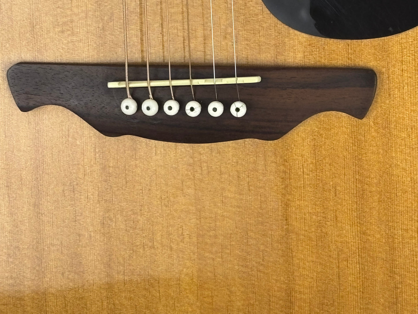 Alvarez RD8 Acoustic Guitar with Padded Gig Bag