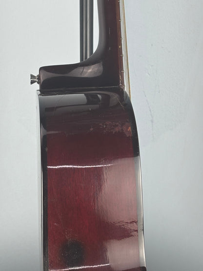 Carlo Robelli GS-720 Mid 2000's - Natural - Great Starter Guitar in Very Good Condition